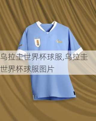 乌拉圭世界杯球服,乌拉圭世界杯球服图片