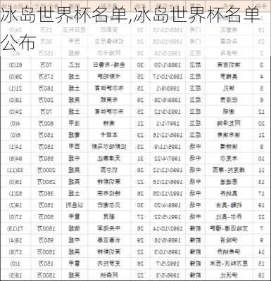 冰岛世界杯名单,冰岛世界杯名单公布