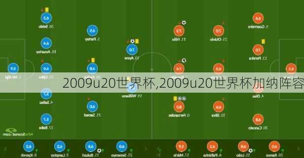 2009u20世界杯,2009u20世界杯加纳阵容