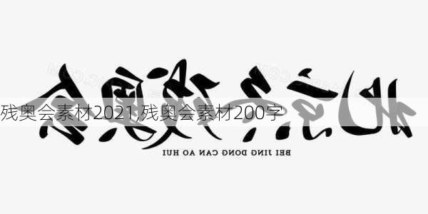 残奥会素材2021,残奥会素材200字