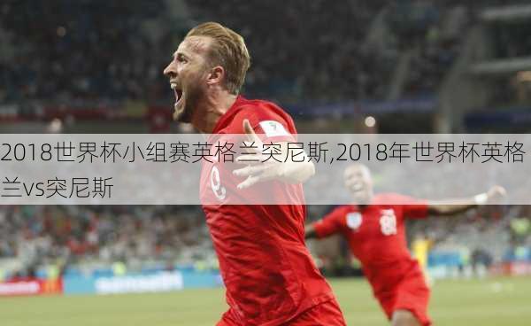 2018世界杯小组赛英格兰突尼斯,2018年世界杯英格兰vs突尼斯