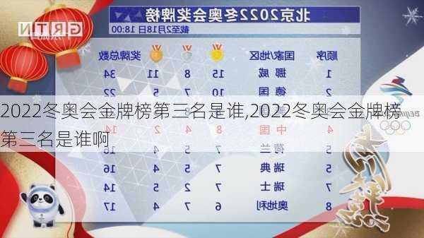 2022冬奥会金牌榜第三名是谁,2022冬奥会金牌榜第三名是谁啊