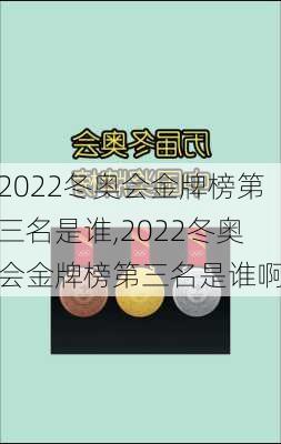 2022冬奥会金牌榜第三名是谁,2022冬奥会金牌榜第三名是谁啊