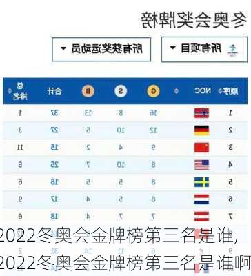 2022冬奥会金牌榜第三名是谁,2022冬奥会金牌榜第三名是谁啊