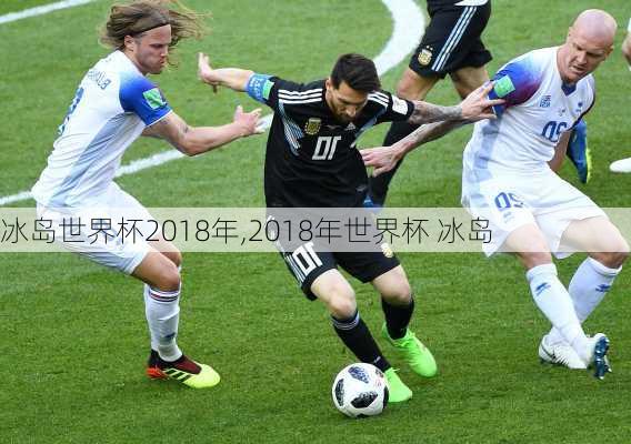 冰岛世界杯2018年,2018年世界杯 冰岛