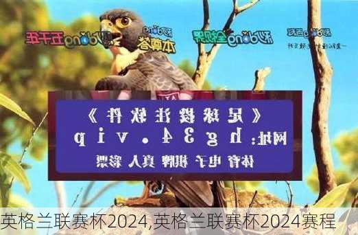 英格兰联赛杯2024,英格兰联赛杯2024赛程