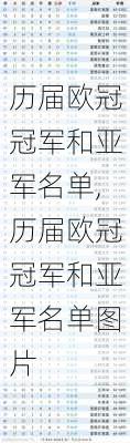 历届欧冠冠军和亚军名单,历届欧冠冠军和亚军名单图片