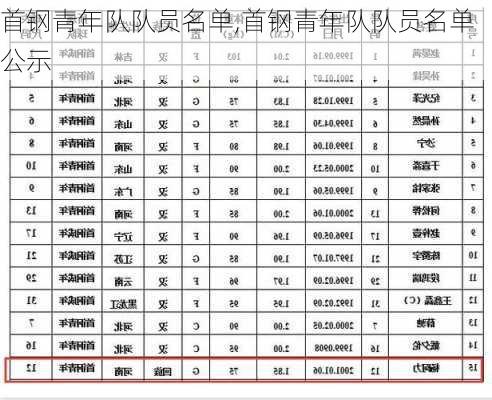 首钢青年队队员名单,首钢青年队队员名单公示