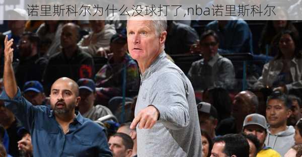 诺里斯科尔为什么没球打了,nba诺里斯科尔