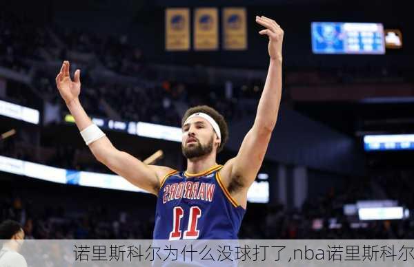 诺里斯科尔为什么没球打了,nba诺里斯科尔