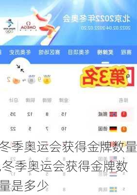 冬季奥运会获得金牌数量,冬季奥运会获得金牌数量是多少