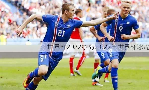 世界杯2022冰岛,2022年世界杯冰岛