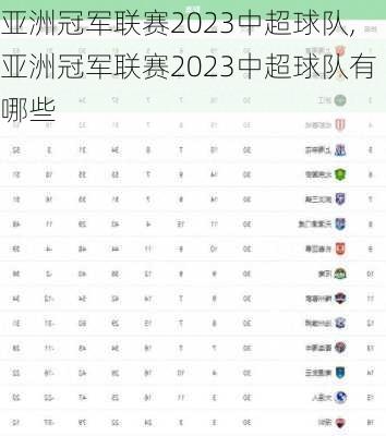 亚洲冠军联赛2023中超球队,亚洲冠军联赛2023中超球队有哪些