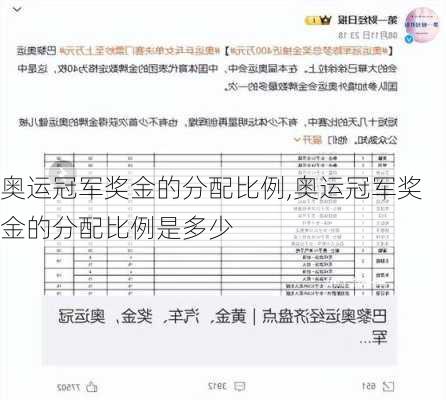 奥运冠军奖金的分配比例,奥运冠军奖金的分配比例是多少