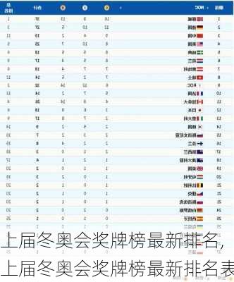 上届冬奥会奖牌榜最新排名,上届冬奥会奖牌榜最新排名表