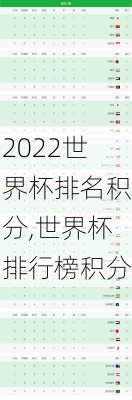 2022世界杯排名积分,世界杯排行榜积分