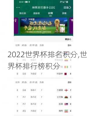 2022世界杯排名积分,世界杯排行榜积分