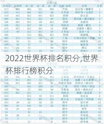 2022世界杯排名积分,世界杯排行榜积分