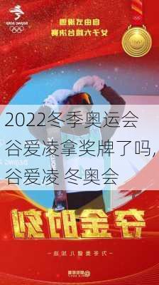 2022冬季奥运会谷爱凌拿奖牌了吗,谷爱凌 冬奥会