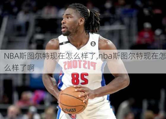 NBA斯图尔特现在怎么样了,nba斯图尔特现在怎么样了啊