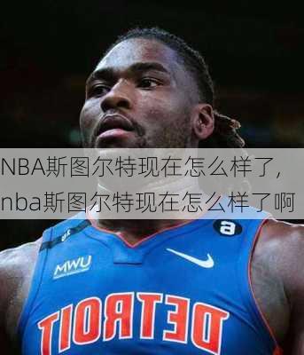 NBA斯图尔特现在怎么样了,nba斯图尔特现在怎么样了啊