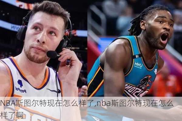 NBA斯图尔特现在怎么样了,nba斯图尔特现在怎么样了啊