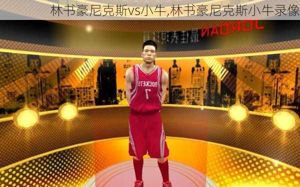 林书豪尼克斯vs小牛,林书豪尼克斯小牛录像