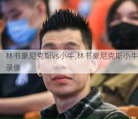 林书豪尼克斯vs小牛,林书豪尼克斯小牛录像