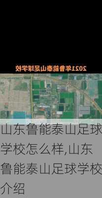 山东鲁能泰山足球学校怎么样,山东鲁能泰山足球学校介绍