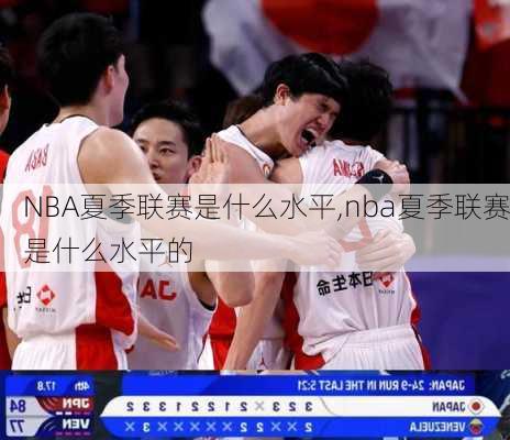 NBA夏季联赛是什么水平,nba夏季联赛是什么水平的