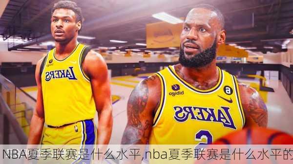 NBA夏季联赛是什么水平,nba夏季联赛是什么水平的