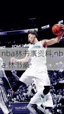 nba林书豪资料,nba 林书豪