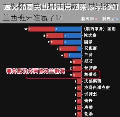 世界杯荷兰西班牙谁赢了,世界杯荷兰西班牙谁赢了啊