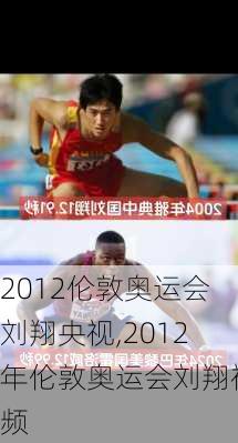 2012伦敦奥运会刘翔央视,2012年伦敦奥运会刘翔视频