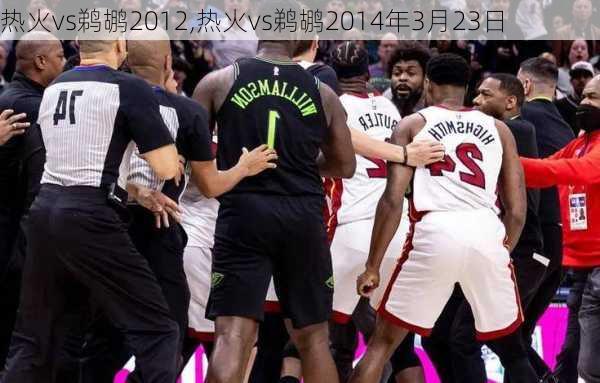 热火vs鹈鹕2012,热火vs鹈鹕2014年3月23日